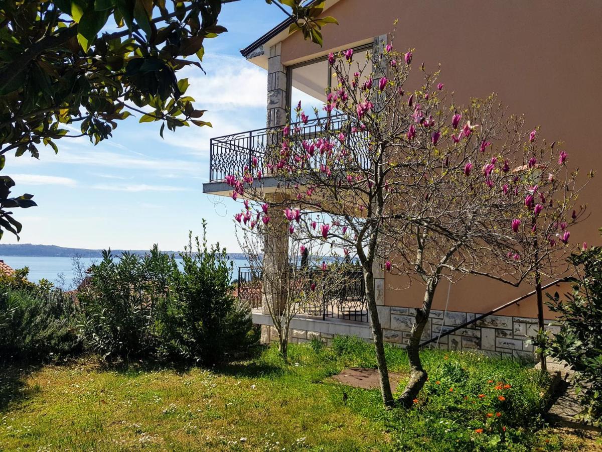 Apartma Kocevar بورتوروز المظهر الخارجي الصورة